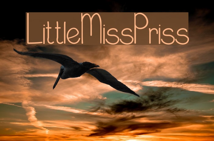 LittleMissPriss Example 3