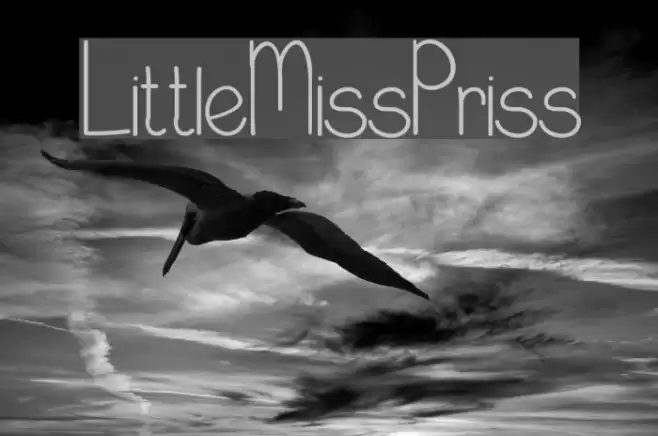 LittleMissPriss Font examples