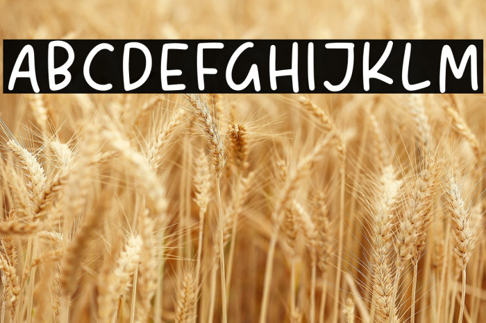 LittleMoment-Regular Example 2