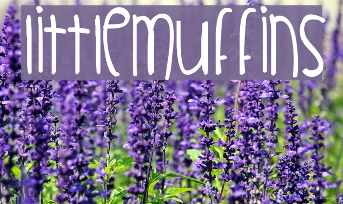 LittleMuffins Font examples