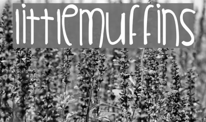 LittleMuffins Example 2