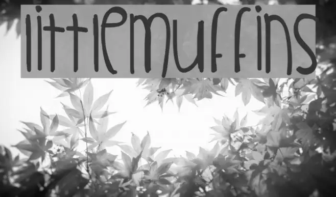 LittleMuffins Example 3