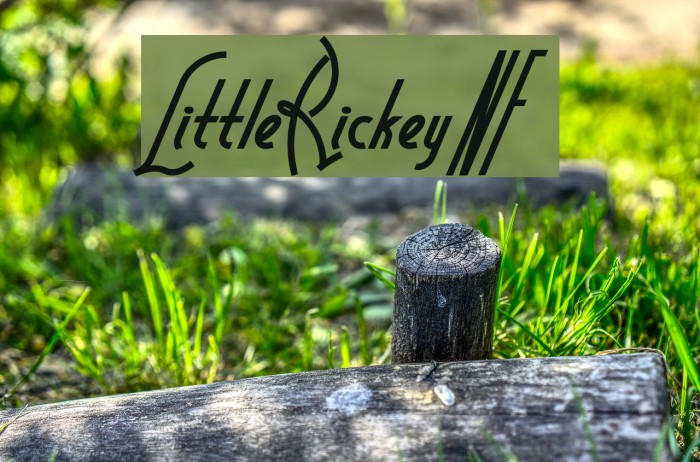 LittleRickeyNF Font examples