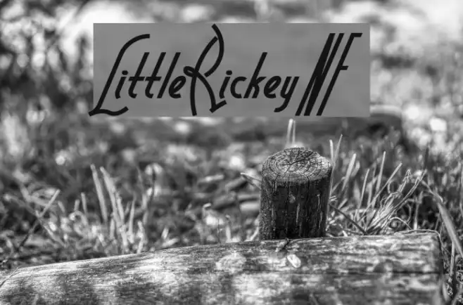 LittleRickeyNF Example 1