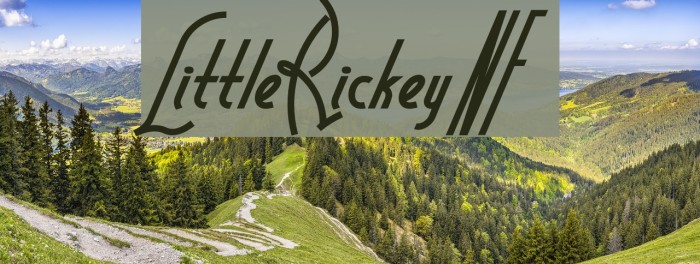 LittleRickeyNF Font examples