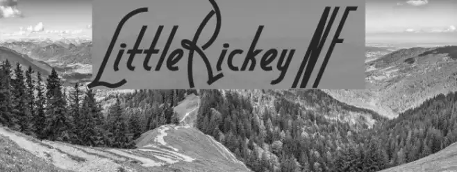 LittleRickeyNF Example 2