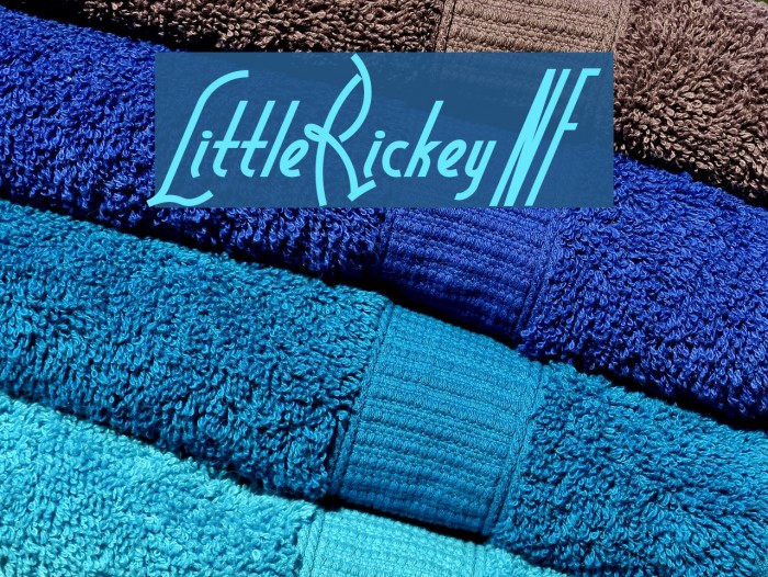 LittleRickeyNF Font examples