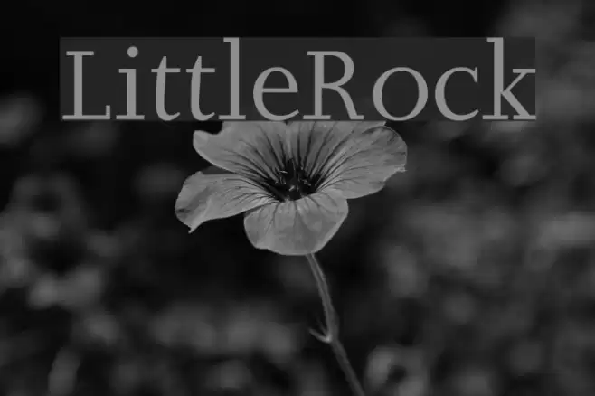 LittleRock Font examples
