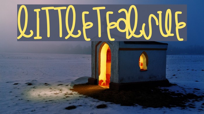 LittleTealSue Example 1