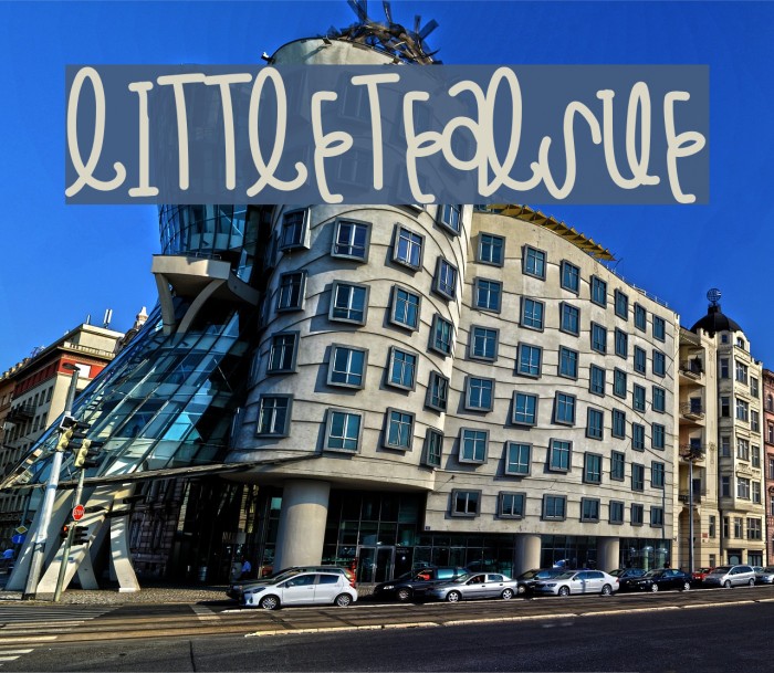 LittleTealSue Example 2