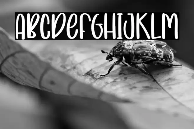 LittleTheWingsRegular Font examples