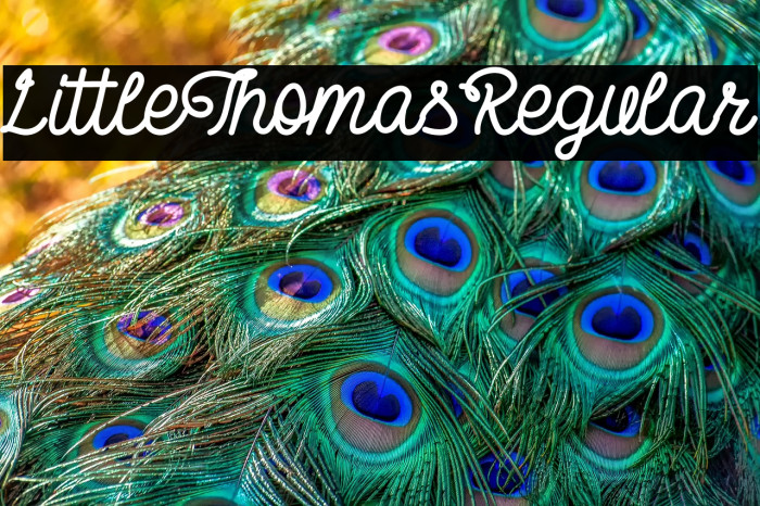 LittleThomasRegular Example 1