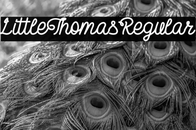 LittleThomasRegular Example 1