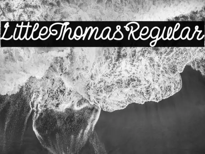 LittleThomasRegular Example 3