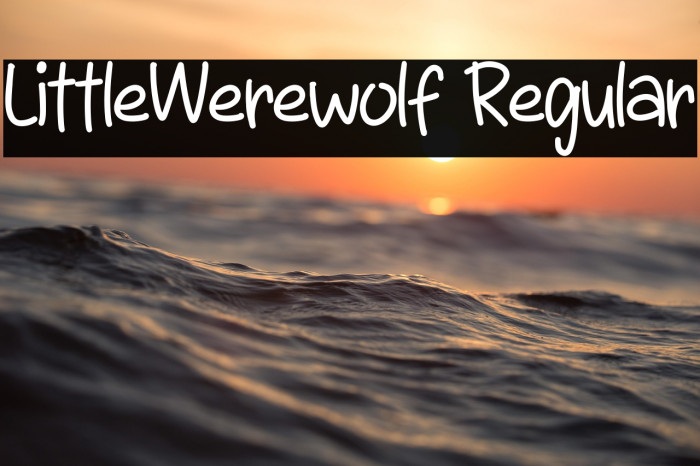 LittleWerewolf Regular Example 2