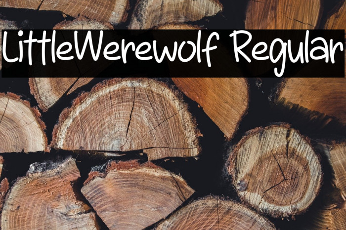 LittleWerewolf Regular Example 3