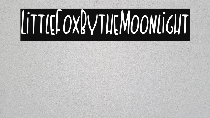 Little_Fox_By_the_Moonlight Font examples