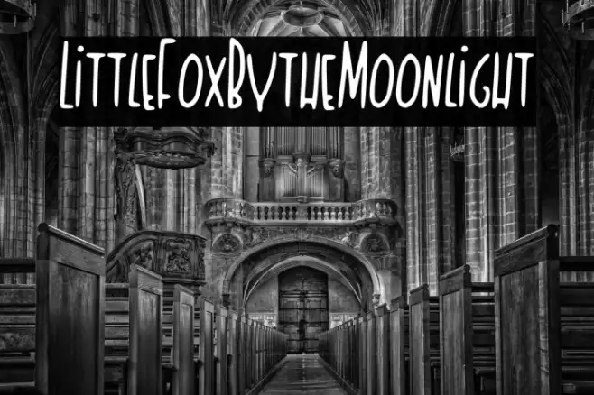 Little_Fox_By_the_Moonlight Example 2