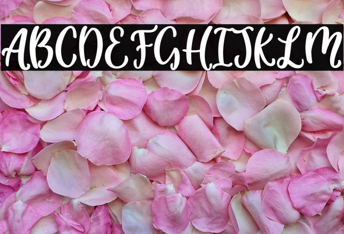 Little_Molly_Personal_Use Example 2