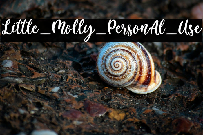 Little_Molly_Personal_Use Example 3