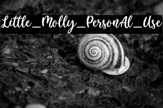 Little_Molly_Personal_Use Font examples