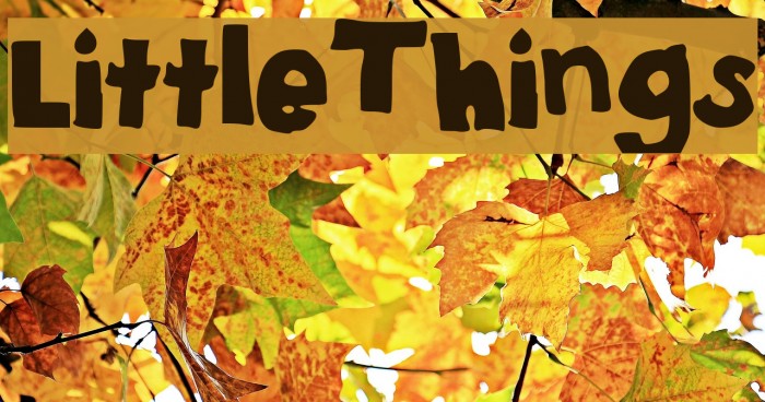 Little_Things Font examples