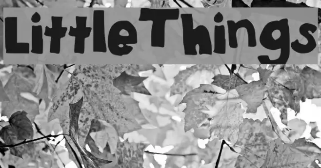 Little_Things Example 1