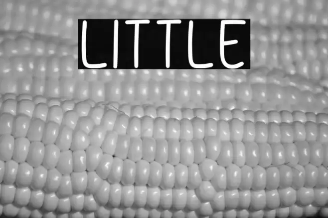 Little Font examples