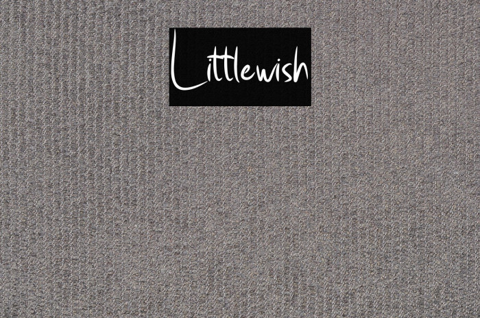 Little_wish Example 1