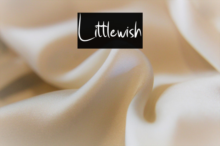 Little_wish Example 2