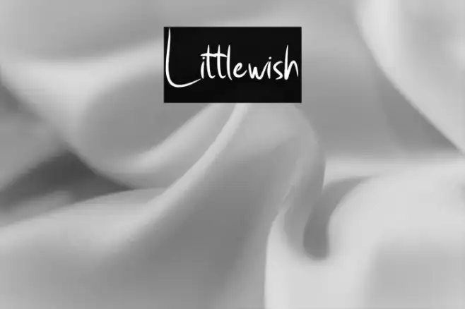 Little_wish Example 2
