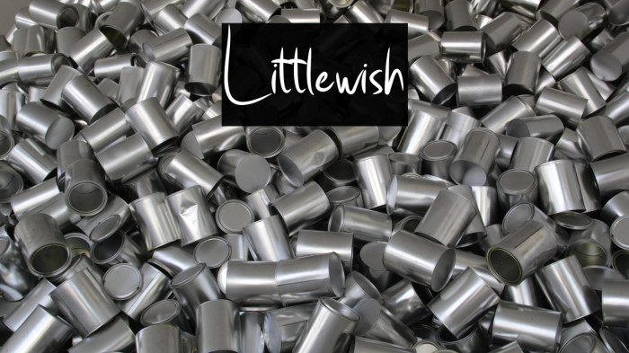 Little_wish Example 3