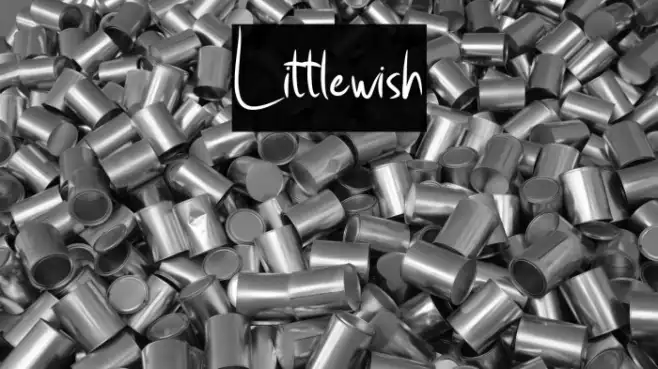Little_wish Example 3