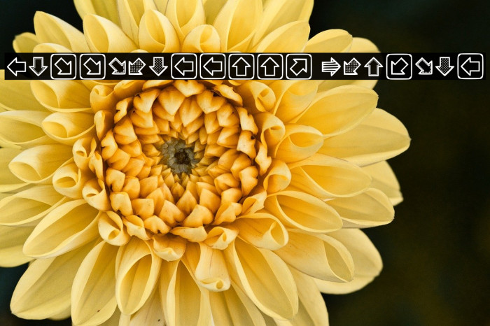 Littlearrows Regular Example 2