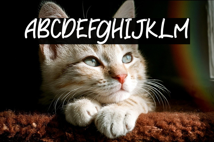 Littlecandy Example 1