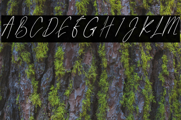 Littlehampton Font examples