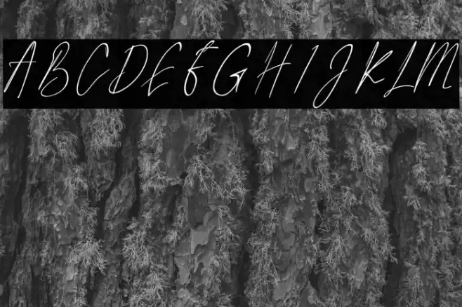 Littlehampton Font examples