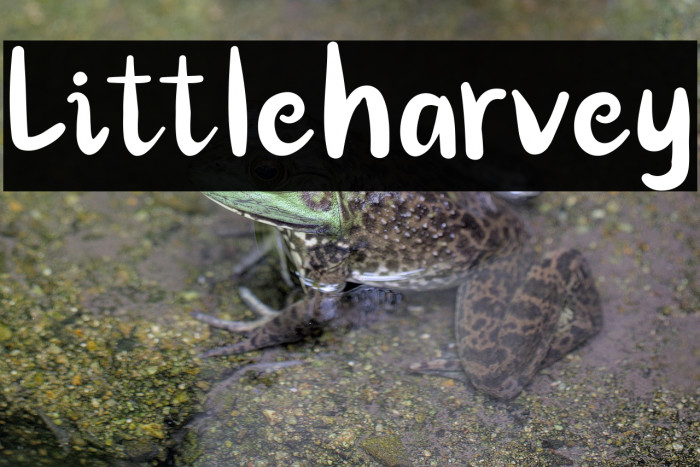 Littleharvey Example 3