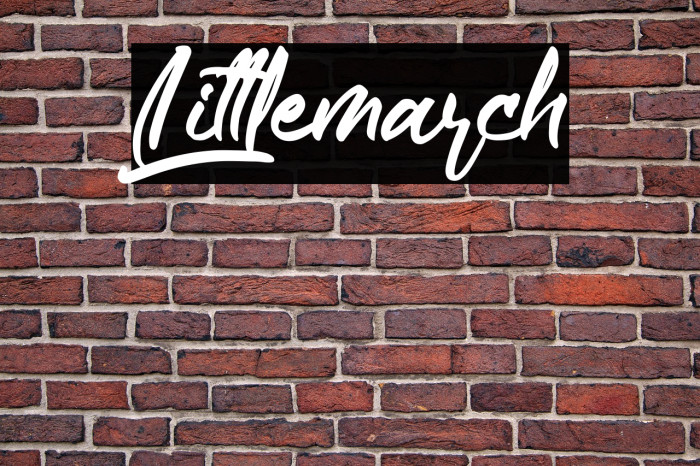 Littlemarch Example 1