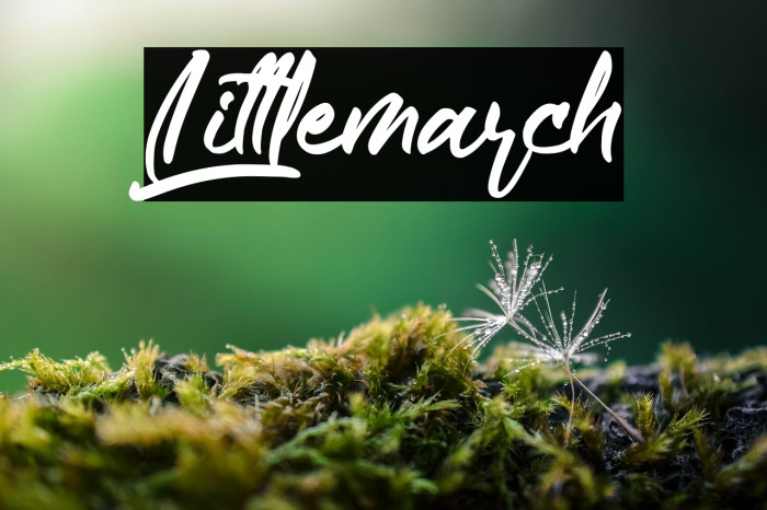 Littlemarch Example 2