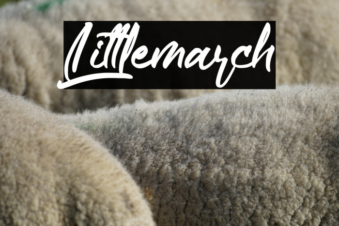 Littlemarch Example 3