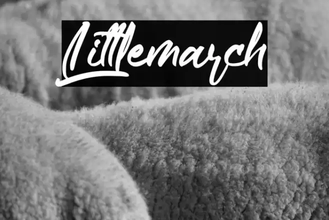 Littlemarch Font examples