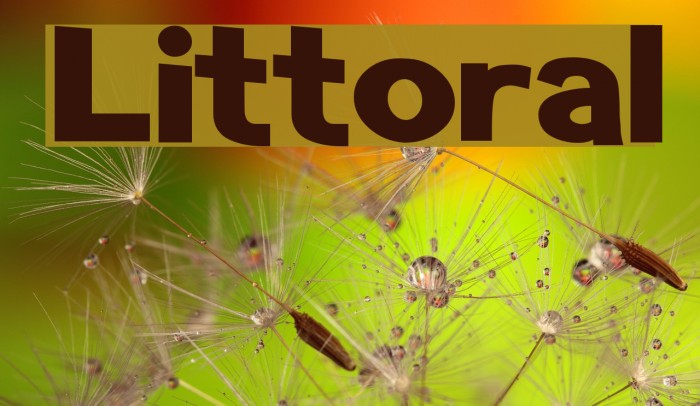 Littoral Font examples