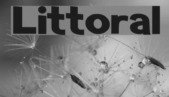 Littoral Example 2