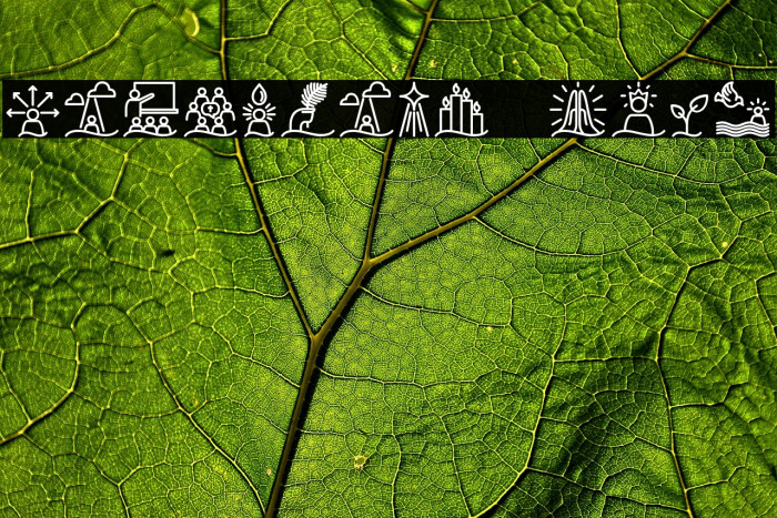 Liturgica Bold Example 2