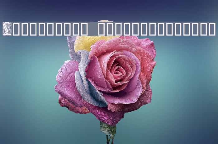 Liturgisch Zierbuchstaben Example 2