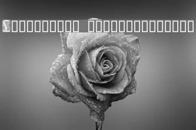 Liturgisch Zierbuchstaben Font examples