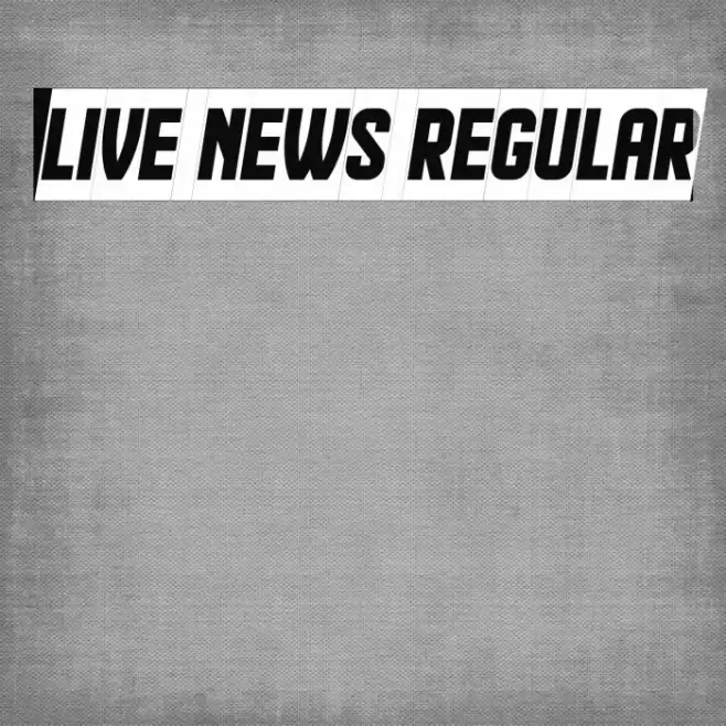 Live News Regular Font examples