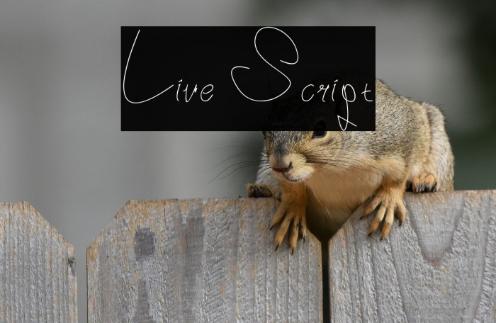 Live Script Example 1