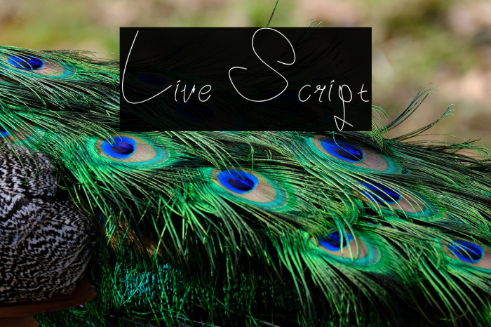 Live Script Example 2